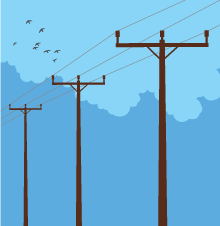 Wooden poles